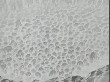 OUTPUT_000137.jpg